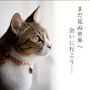 アバター