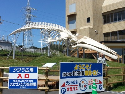 20130408_115912_4.jpg