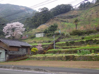 IMGP0073.JPG