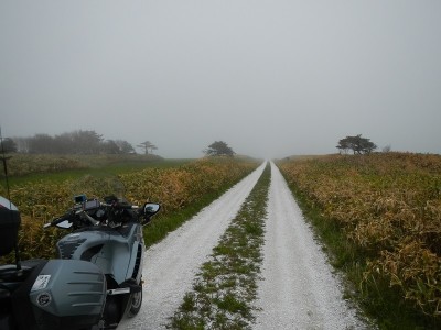 201405260915.JPG (164.9 KiB) 表示回数: 1108 回 201405260915.JPG