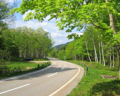 pakuri.jpg (172.15 KiB) 表示回数: 766 回 pakuri.jpg