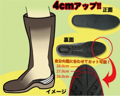 insole6_276.jpg