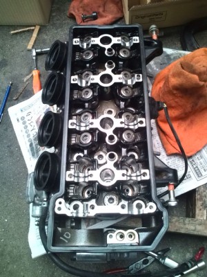 F1012252.jpg
